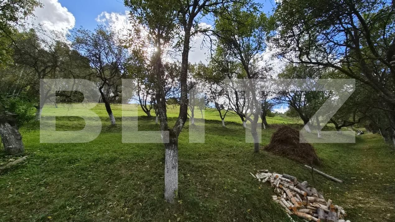 Casa de vânzare 3 camere Poiana Marului - 206473CV | BLITZ Brașov | Poza16