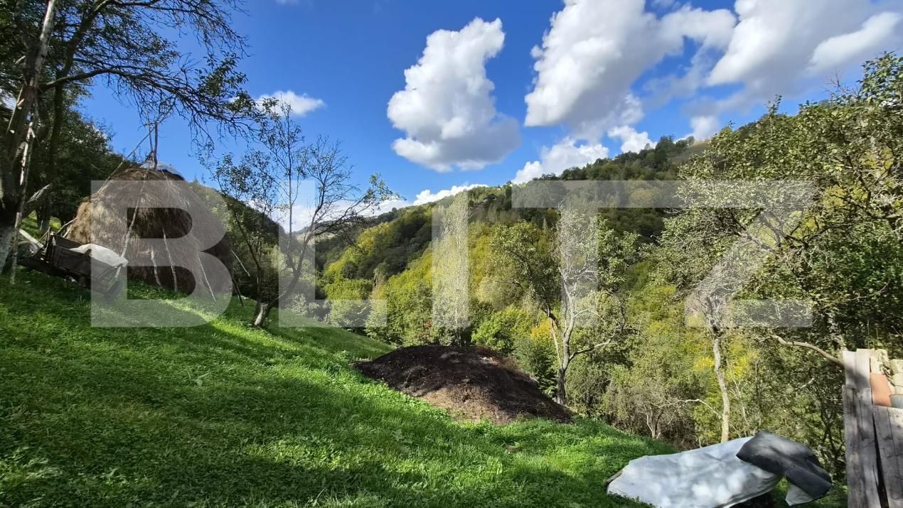Casa de vânzare 3 camere Poiana Marului - 206473CV | BLITZ Brașov | Poza7
