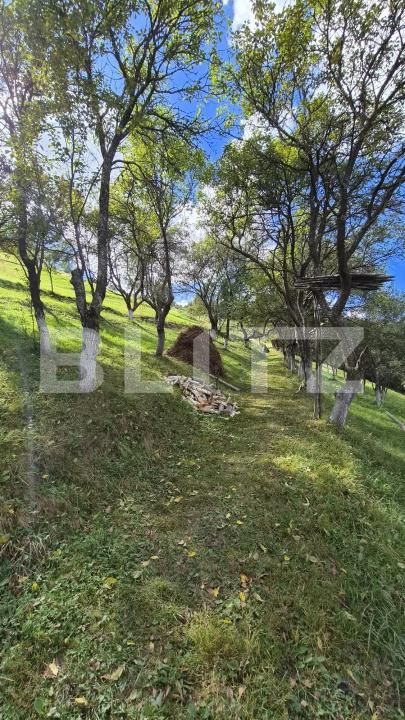 Casa de vânzare 3 camere Poiana Marului - 206473CV | BLITZ Brașov | Poza10