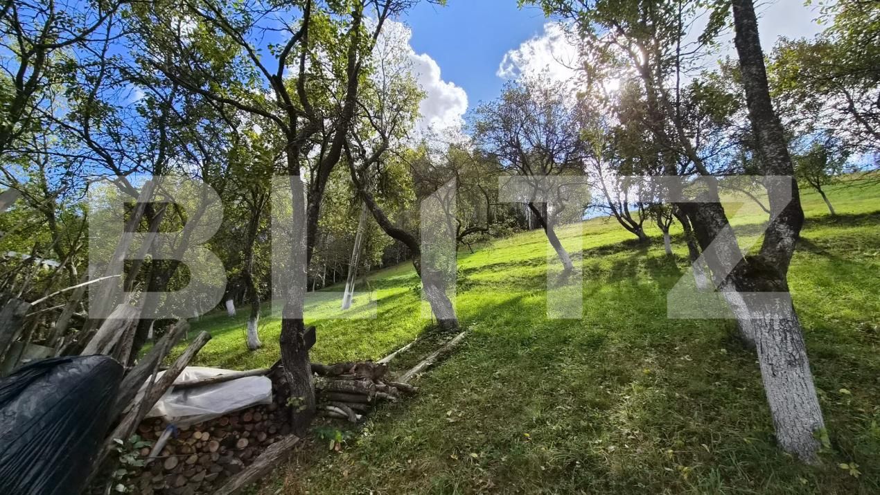 Casa de vânzare 3 camere Poiana Marului - 206473CV | BLITZ Brașov | Poza9