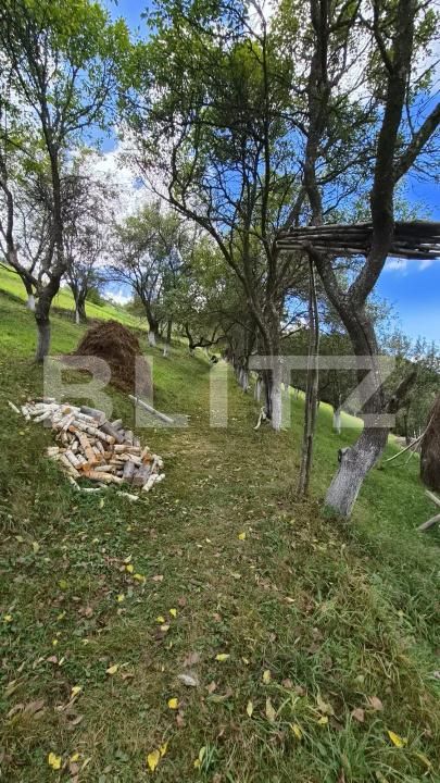 Casa de vânzare 3 camere Poiana Marului - 206473CV | BLITZ Brașov | Poza12