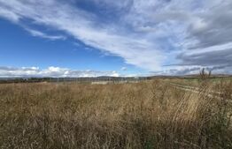 Teren Intravilan, 502 mp, zona Bod