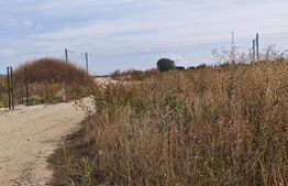 Teren industrial de vanzare, 15.924, mp, zona Bartolomeu