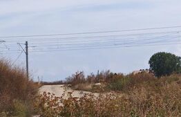 Teren industrial de vanzare, 15.924, mp, zona Bartolomeu