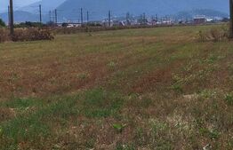 Teren industrial de vanzare, 15.924, mp, zona Bartolomeu
