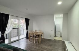 Apartament 2 camere, 48 mp, zona Teilor