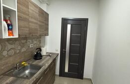 Apartament 2 camere, 48 mp, zona Teilor