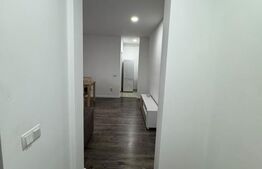 Apartament 2 camere, parcare, zona Teilor