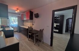 Apartament 3 camere, 65 mp, gradina, parcare, zona Tractoru