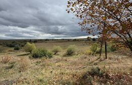 Teren de vanzare, 6.600 mp, zona Cornesti - Mihai Viteazu