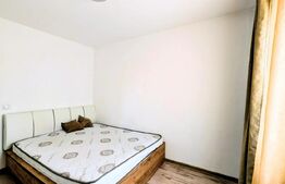 Apartament 3 camere ,72 mp, pet friendly, zona Big 