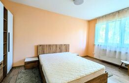 Apartament 3 camere ,72 mp, pet friendly, zona Big 