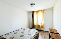 Apartament 3 camere ,72 mp, pet friendly, zona Big 