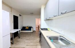 Apartament 3 camere ,72 mp, pet friendly, zona Big 
