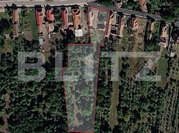 Casa de vânzare 3 camere Sandulesti - 206592CV | BLITZ Cluj-Napoca | Poza2