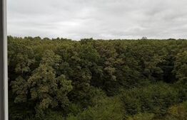 Garsiniera de vanare, 31 mp, zona Manastur 
