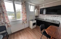 Apartament cu o camera, 40 mp, zona Dambu Rotund