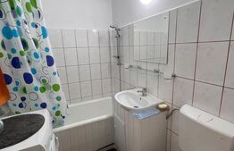 Apartament cu o camera , 40 mp, Dambu Rotund