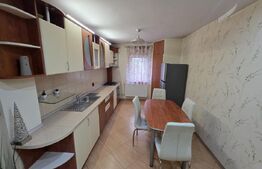 Apartament 3 camere, 70 mp, pet friendly, zona Marasti