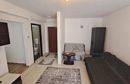 Apartament cu o camera, 31 mp, zona Cetatii