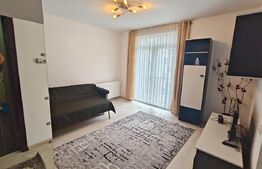Apartament cu o camera, 31 mp, zona Cetatii
