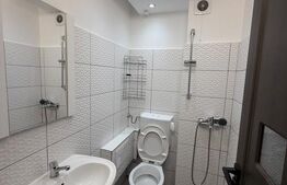 Garsoniera moderna, mobilata, dog friendly - Manastur, Zona Primaverii