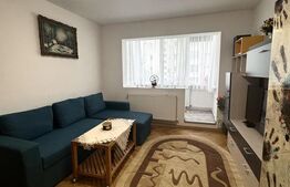 De vânzare apartament complet renovat, 2 camere, zona Astra