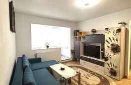 De vânzare apartament complet renovat, 2 camere, zona Astra