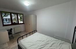 Oportunitate, apartament 2 camere, complet renovat, zona: Centrala, Horea