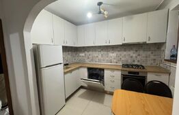 Oportunitate, apartament 2 camere, complet renovat, zona: Centrala, Horea