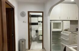 Oportunitate, apartament 2 camere, complet renovat, zona: Centrala