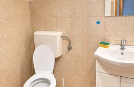 Apartament 3 camere, 65 mp, 2 bai, nemobilat, zona piata cipariu in centru cluj