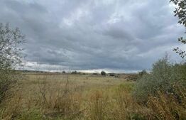 Teren de vanzare, 4.300 mp, zona Cornesti - Mihai Viteazu