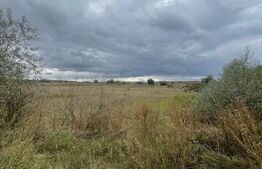 Teren de vanzare, 4.300 mp, zona Cornesti - Mihai Viteazu