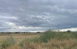 Teren de vanzare, 4.300 mp, zona Cornesti - Mihai Viteazu
