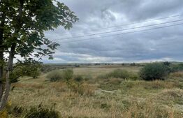 Teren de vanzare, 4.300 mp, zona Cornesti - Mihai Viteazu
