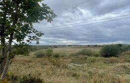 Teren de vanzare, 4.300 mp, zona Cornesti - Mihai Viteazu