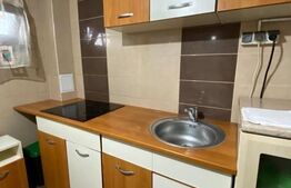 Apartament cu 3 camere, 65 mp, parcare, curte, zona Tineretului!