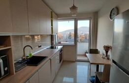 Apartament 2 camere, modern, A.C, parcare, zona : Somes, Grigorescu