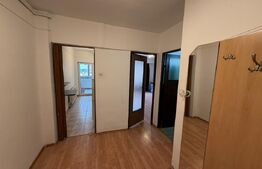 Apartament cu 1 camera, decomandat, 40 mp, Pet friendly, AC, zona Piata Cipariu