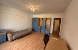 Apartament cu 1 camera, decomandat, 40 mp, Pet friendly, AC, zona Piata Cipariu
