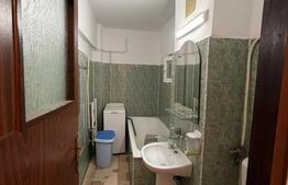 Apartament cu 1 camera, decomandat, 40 mp, Pet friendly, AC, zona Piata Cipariu