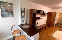 Garsoniera de vanzare, 28 mp, zona Gheorgheni