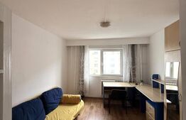 Garsoniera de vanzare, 22 mp, zona Marasti 