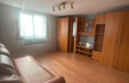 Casa individuala, 2 camere 65 mp, 204 mp curte, Copaceni, Cluj 