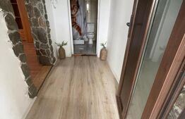 Casa individuala, 2 camere 65 mp, 204 mp curte, Copaceni, Cluj 