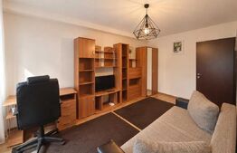 Garsoniera de inchiriere, 30 mp, pet friendly, zona Zorilor