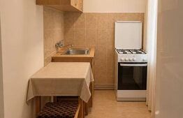 Garsoniera de inchiriere, 30 mp, pet friendly, zona Zorilor