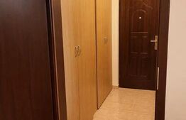 Garsoniera de inchiriere, 30 mp, pet friendly, zona Zorilor