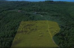 Teren intravilan, 931 mp, zona Salicea Hills